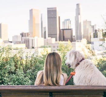 woman and dog sitting on a park bench overlooking the city