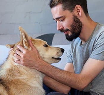 man scratching dog's head