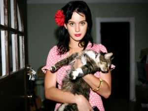 katy perry and kitty purry