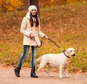 woman walking a dog in the fall