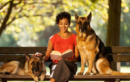 woman reading on a bench in the park with two German Shepherds