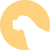 pci logo