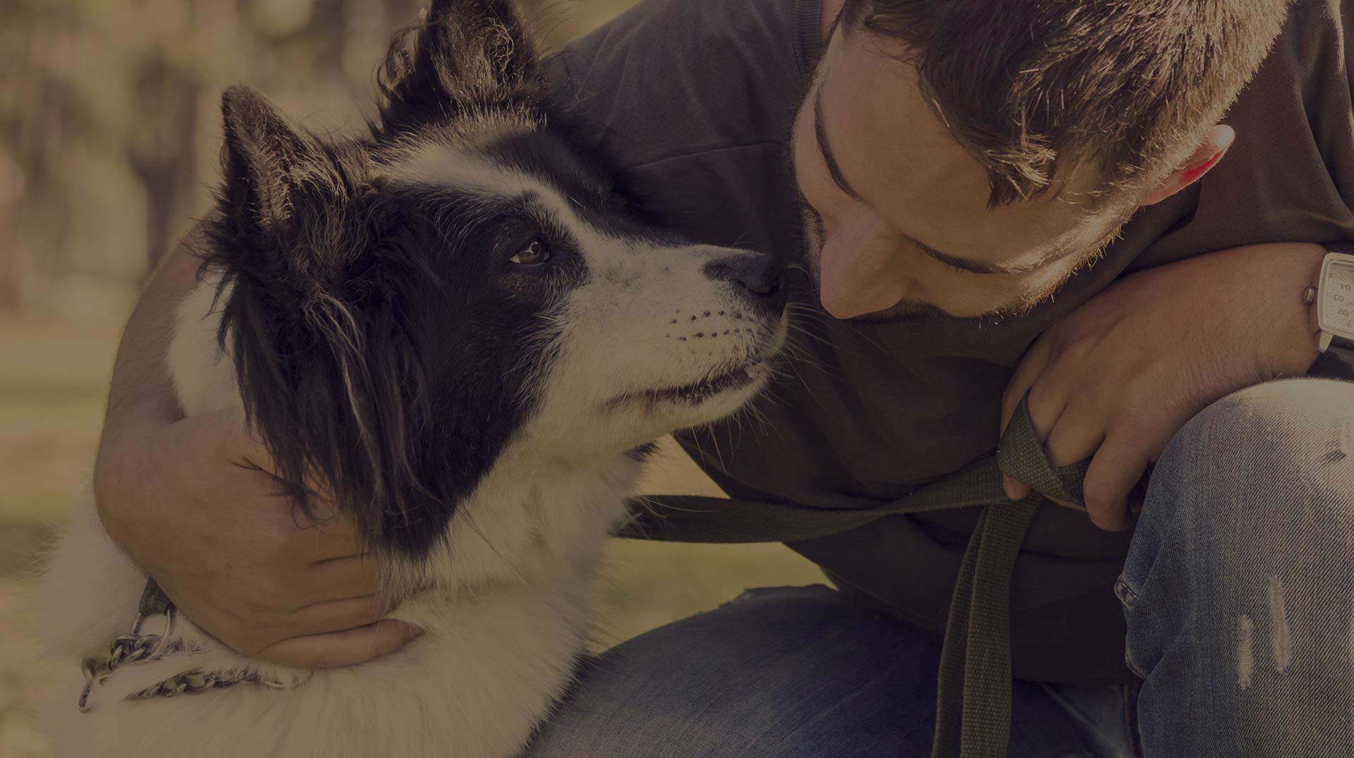 Do Dog Walkers Need Insurance