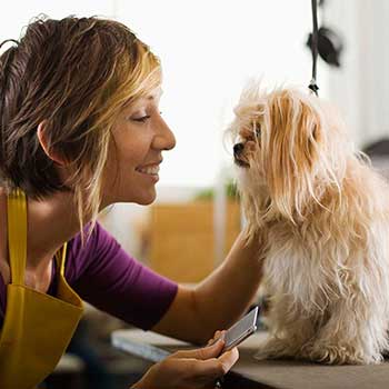 What insurance do dog groomers need?