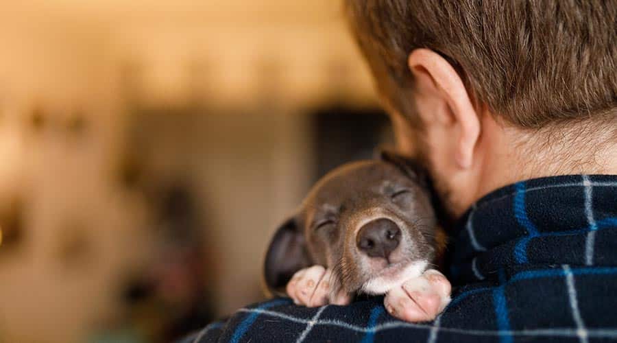 man hugging happy puppy