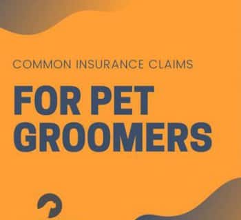 Pet groomers claims graphic