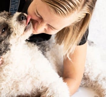 dog licking pet groomer