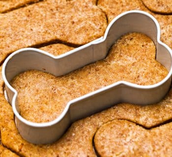 dog treat cookie cutter