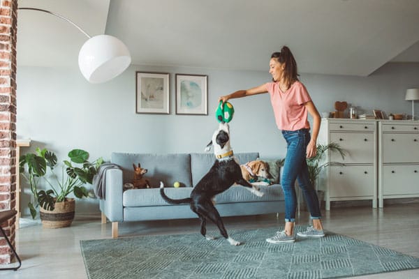 woman playing with dog inside home