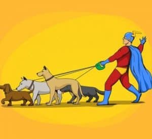 crime fighter walking dogs
