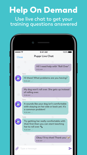 app screenshot - live chat