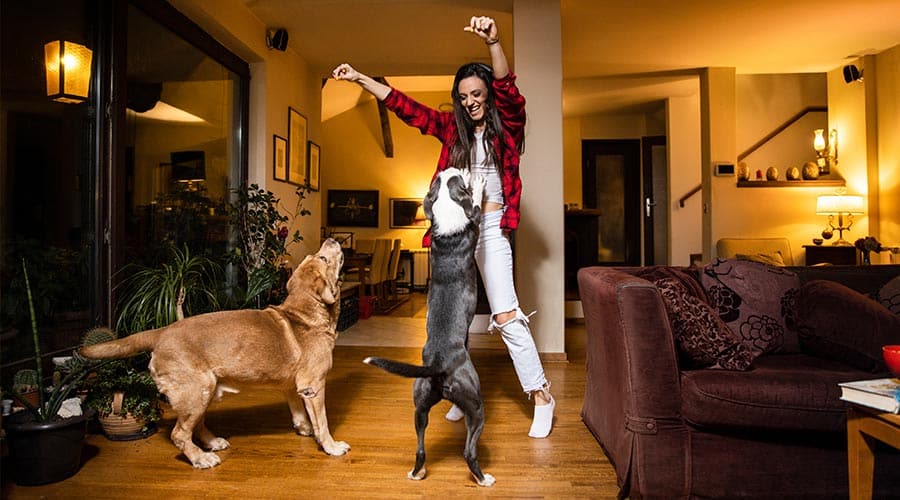 woman playing with dogs
